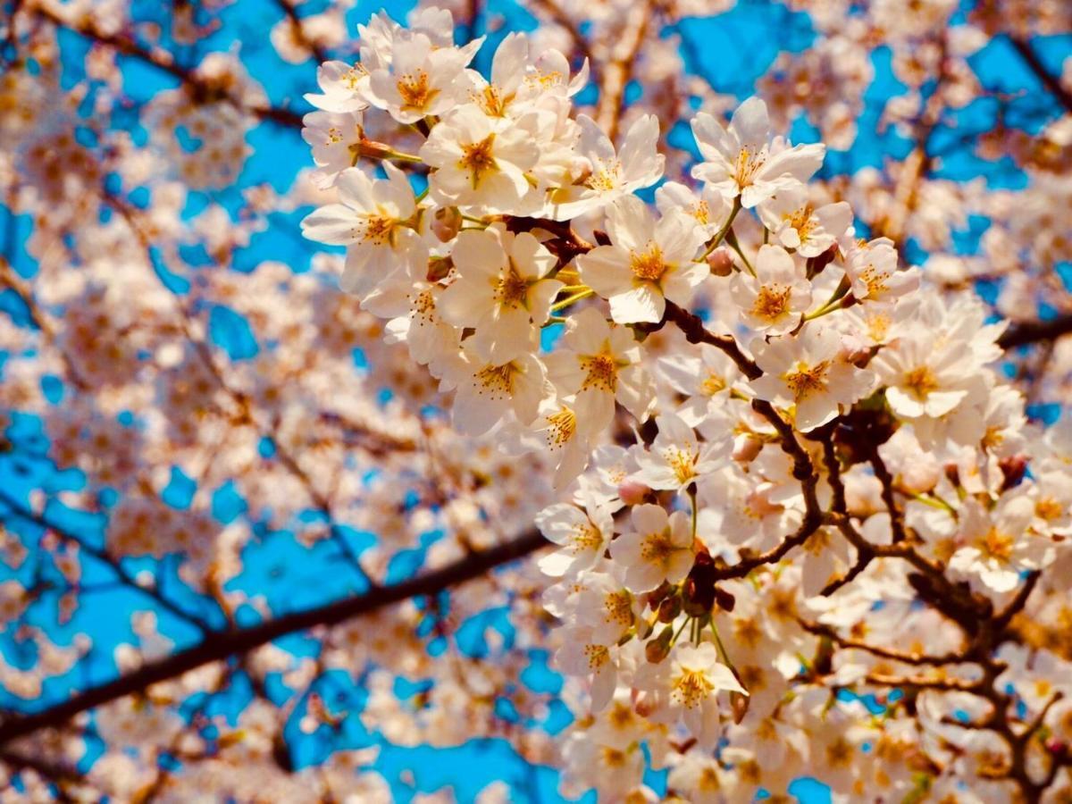 Apa Hotel Asakusa Ekimae Tokyo Dış mekan fotoğraf